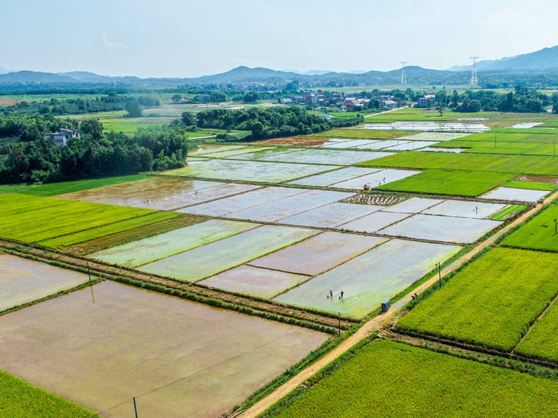 恒美科技助力高标准农田建设，推进农业现代化