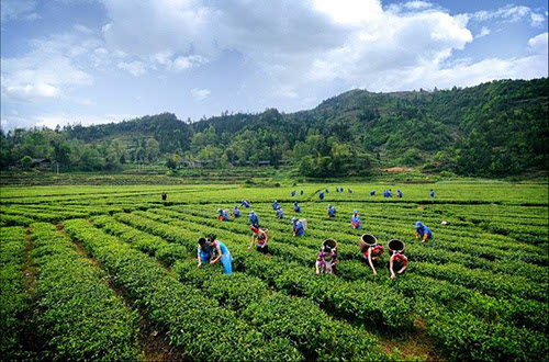 土壤快速测量仪器